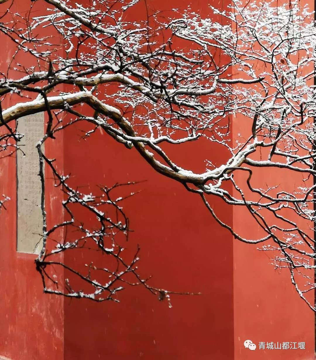 无雪不成冬,都江堰玩雪一日游