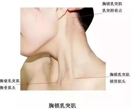 很瘦却有双下巴是什么原因,长得瘦却有双下巴