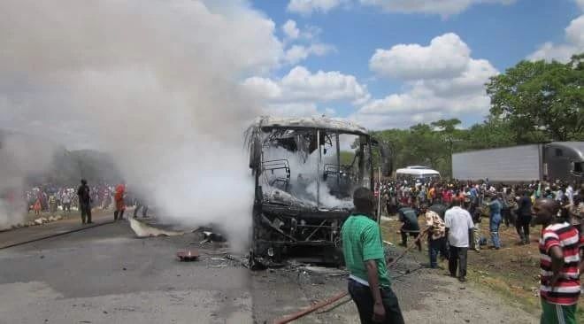 下雨天很多飞蚁是什么蚁,雨后飞蚁怎么来的