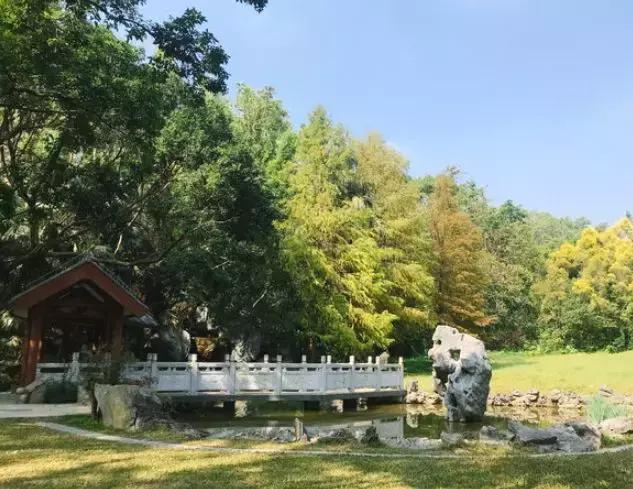 福田花卉世界最新消息,福田花卉世界改造