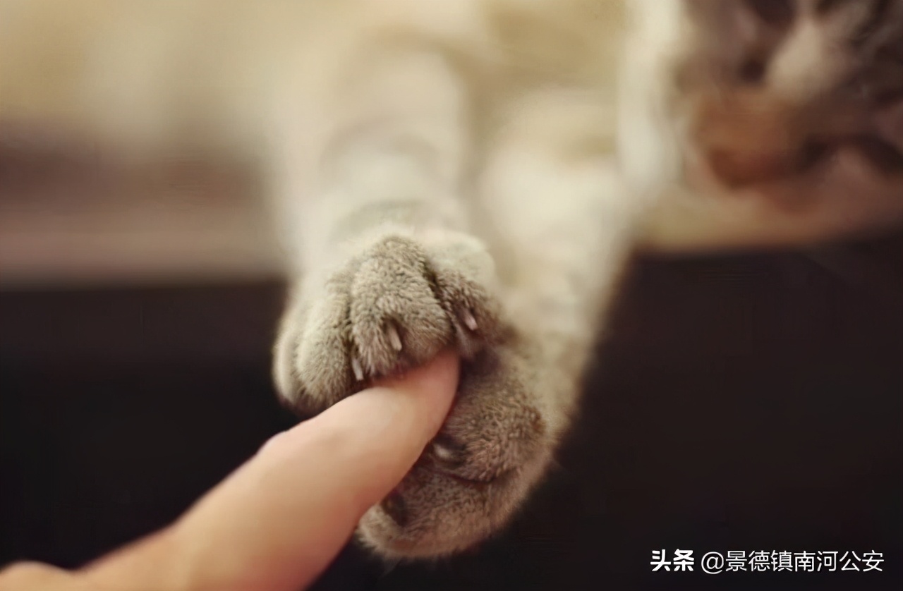 “割声带、截肢、电击，当爱变成我的噩梦”