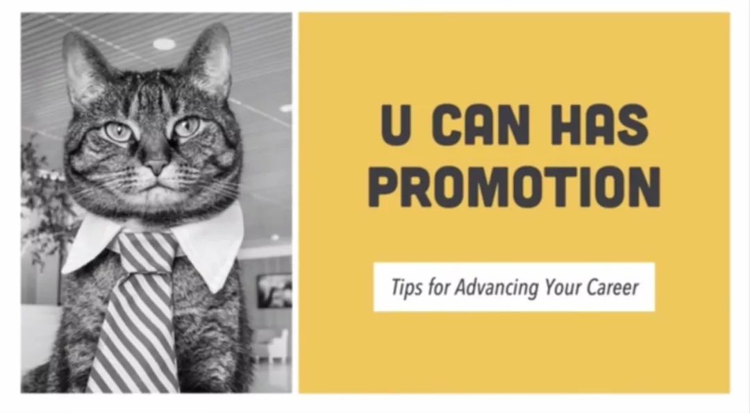 如何使用图片排版,如何编辑好图片