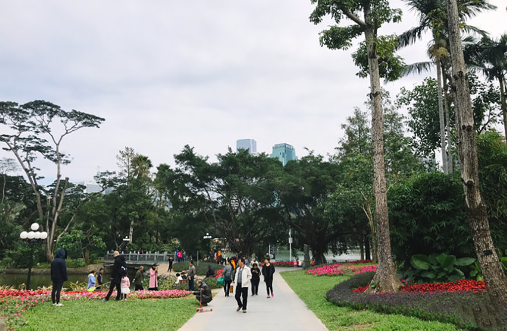 深圳东部华侨城旅游攻略,深圳游玩推荐南山区荔香公园