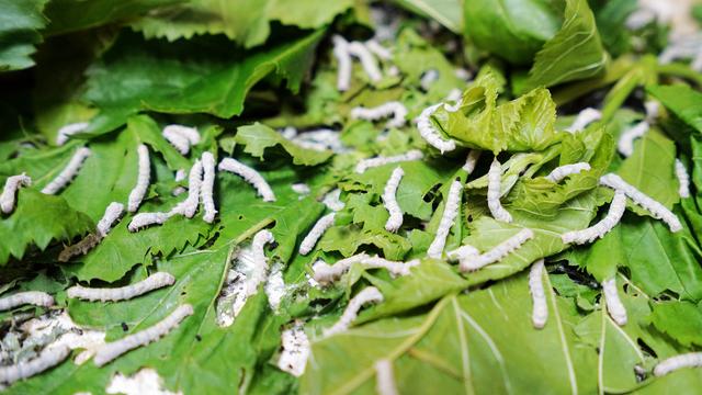 中国最低调小城市,中国最低调小镇