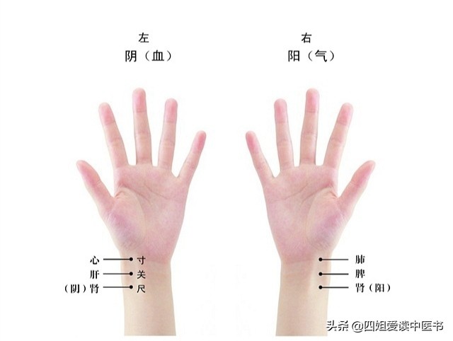 伤寒杂病论每日一学,中医伤寒论科普视频