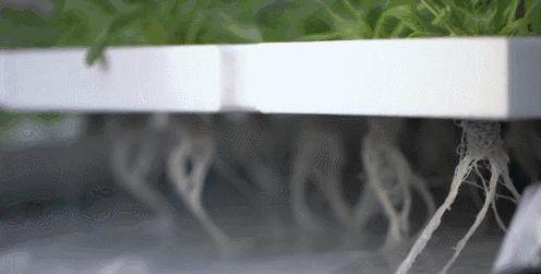 马化腾进军电商市场,腾讯马化腾下一步战略