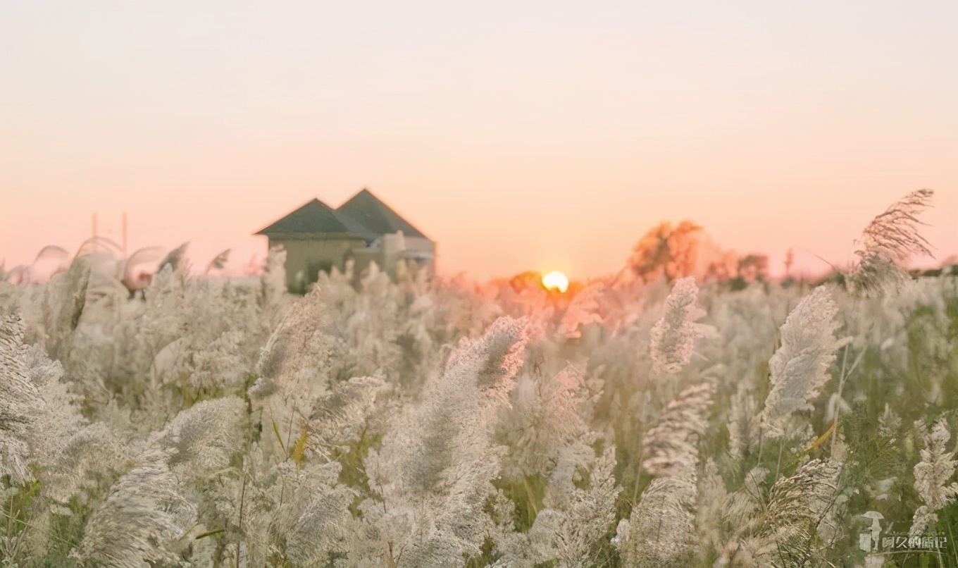 山东这两座小城，集齐了所有令人向往的美景，超级适合自驾！