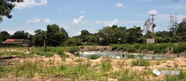 中国年年进口的大豆，为何让巴拉圭从富饶变得死寂？