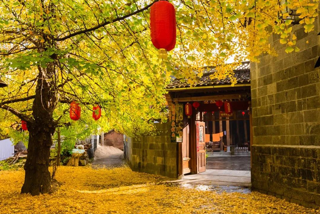 想泡温泉去哪个城市,想泡温泉不妨到成都这里来