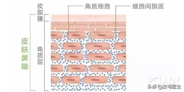 冬天换季干燥脱皮爆痘,冬季干燥泛红脱皮敏感爆痘怎么办