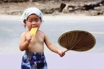 对虾养殖可靠么,对虾养殖知识大全