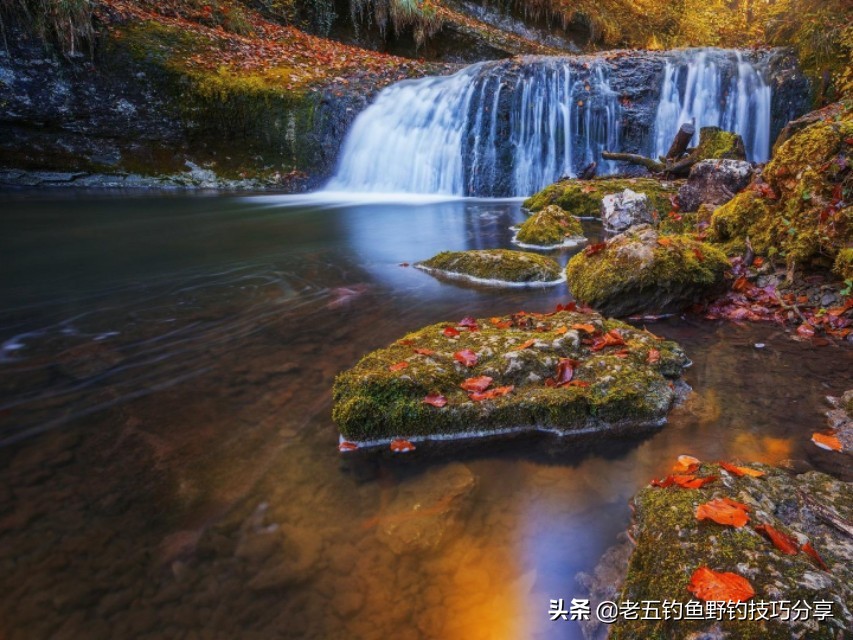 走钓守钓,走钓渔护