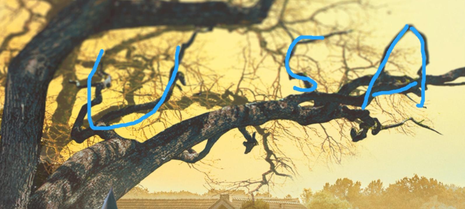 乌合麒麟血棉解析,乌合麒麟怒揭血棉真相