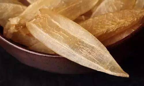 鱼胶知识大全视频,最全常识看完涨知识