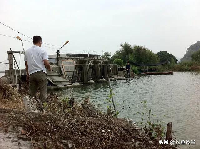 沙尖鱼钓法,沙尖鱼习性