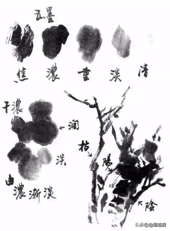 国画没有书法基础,国画没有基础最好先学哪些入手