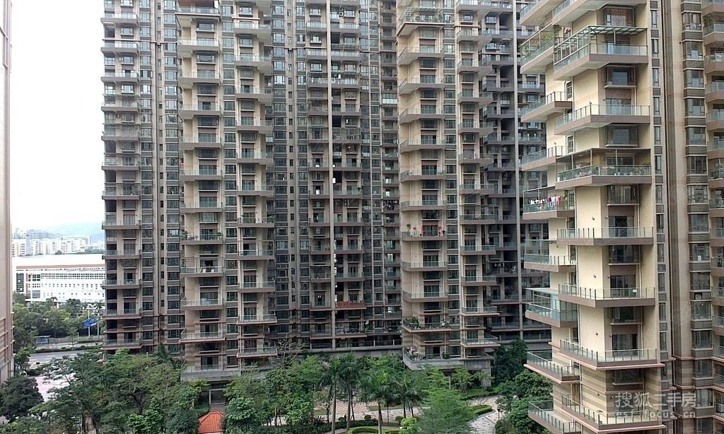 52平送大露台景观房总价100万内,52平送大露台景观房带共享露台