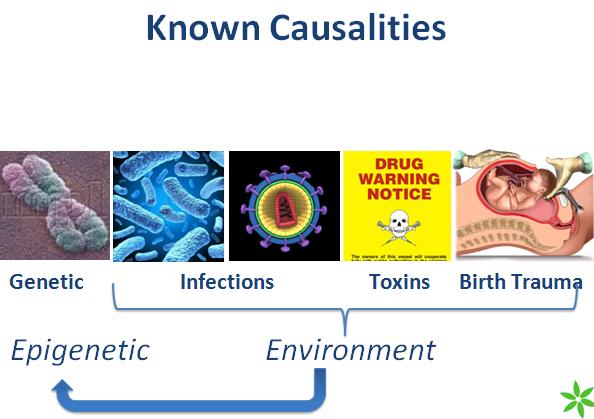 英智自闭症中心,英智康复自闭症中心