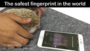 超级搞笑gif图,超好笑gif图