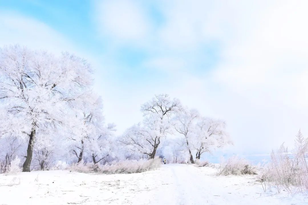 这才是国内34省区的最美天堂!