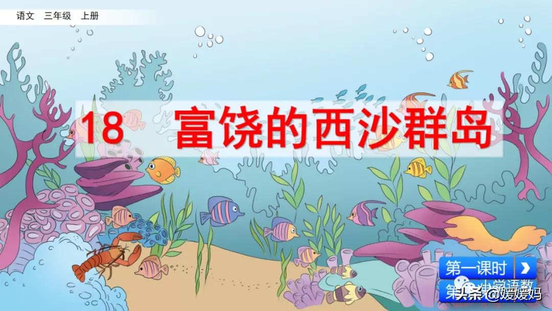 三年级第18课富饶的西沙群岛预习,3年级语文第18课富饶的西沙群岛