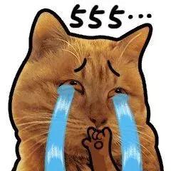 八达通消费券如何领取,八达通怎么领取优惠