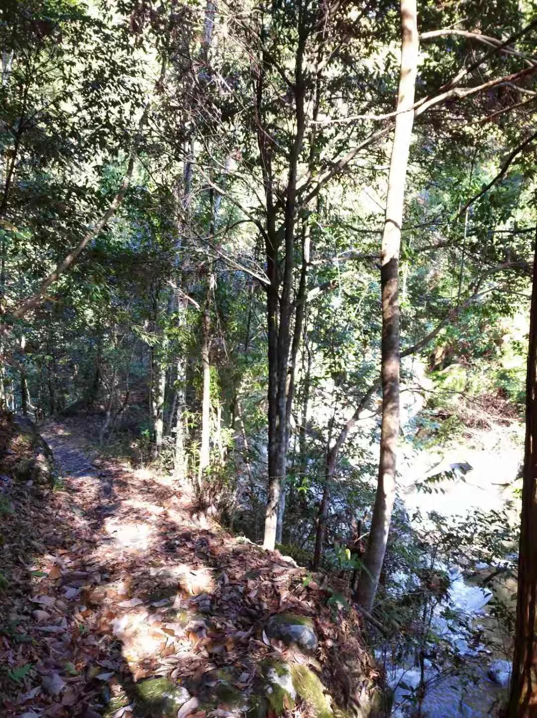 美丽的浙江山城龙泉,龙泉是一座什么样的城市