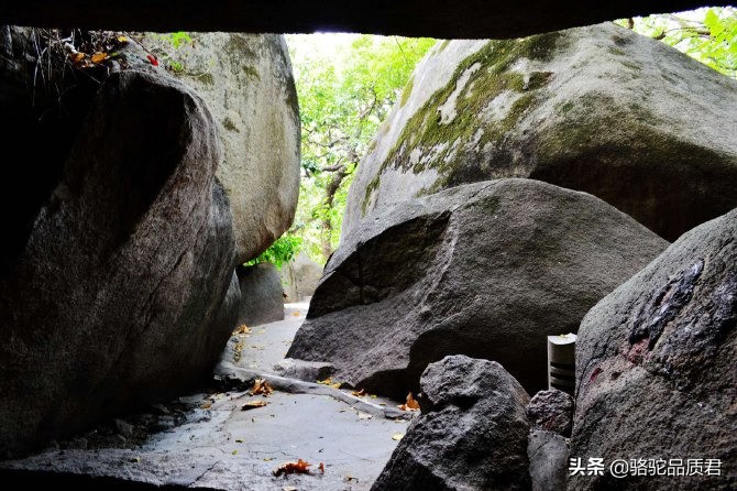 厦门海边之旅,厦门小众旅游体验