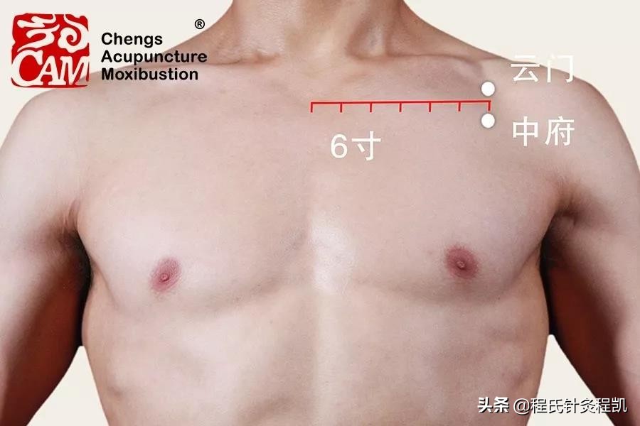 程凯养生说腿上的经络,程凯养生说脏腑推拿