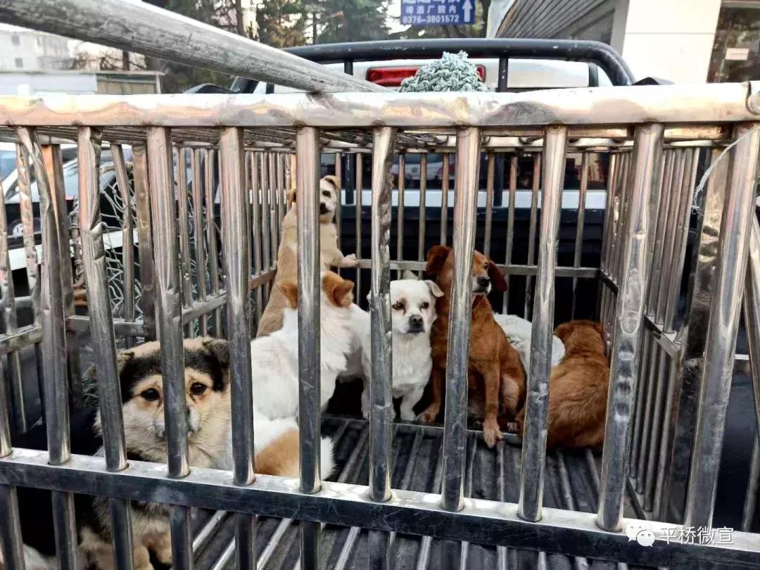 动真格整治方案,动真格整改落实