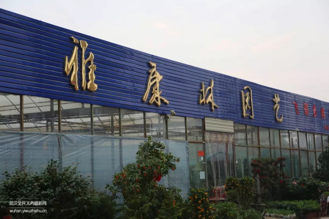 园艺沙龙|前方高能！一大波人相约逛花市，究竟淘了些啥？