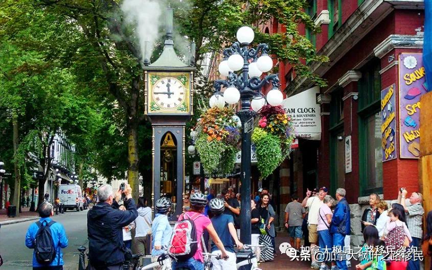 独生子女移民后，年迈的父母该怎么办？