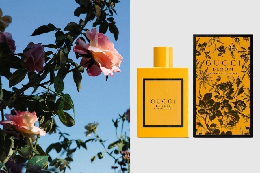 罗意威闻着像飘柔的香水,罗意威是沙龙香吗