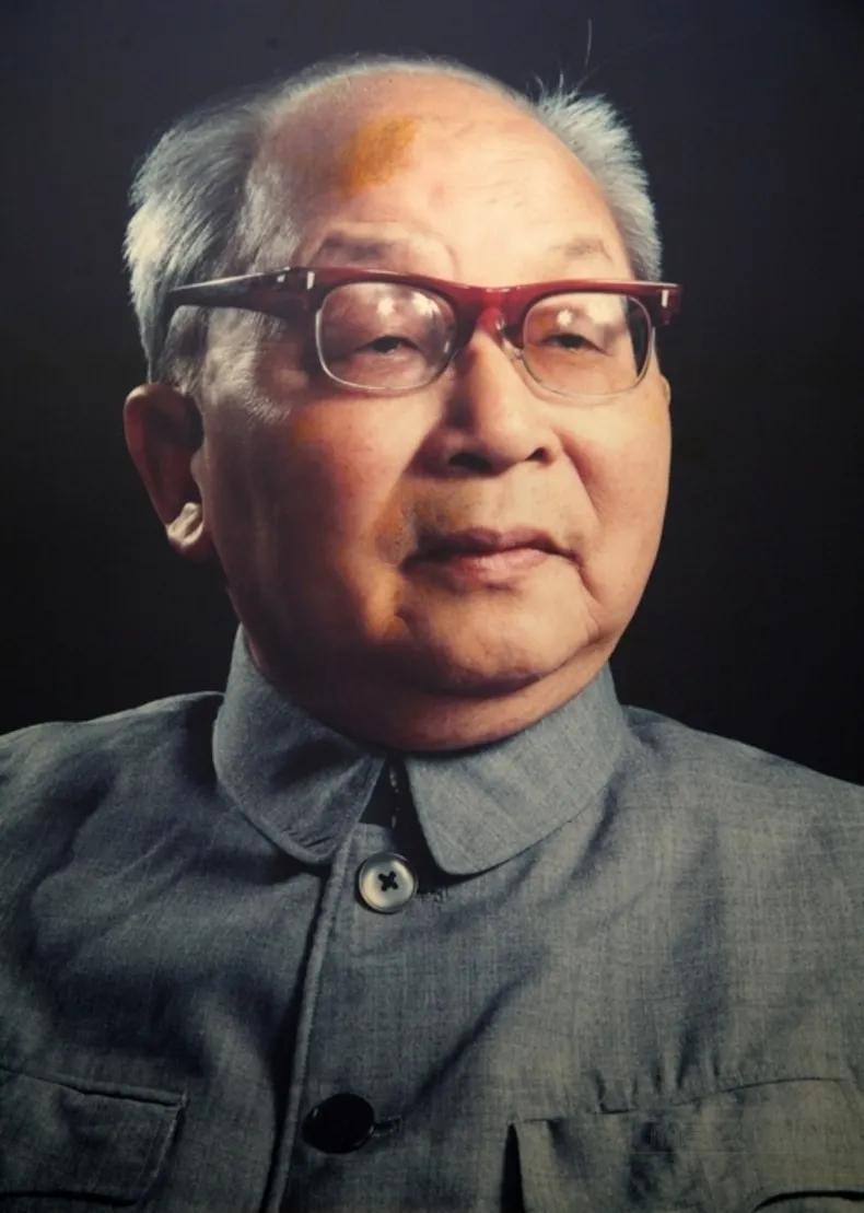 1999年两弹一星勋章获得者视频,1999年被授予两弹功勋奖章