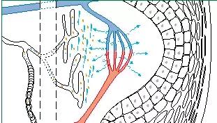 有了黑眼圈，就被判了“死刑”？不，用对眼霜就可以
