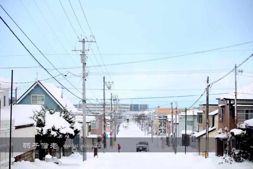 日本10天自由行费用北海道,东京北海道5日自由行攻略