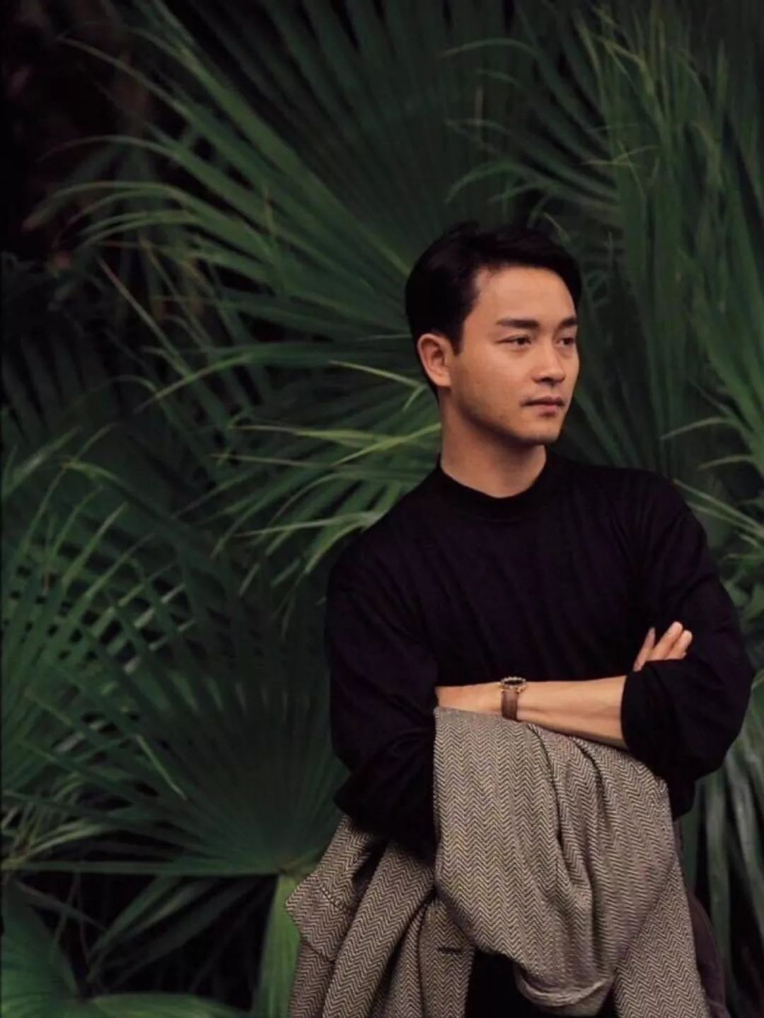 岁月抹不去盛世美颜港圈女星,岁月抹不去完整版