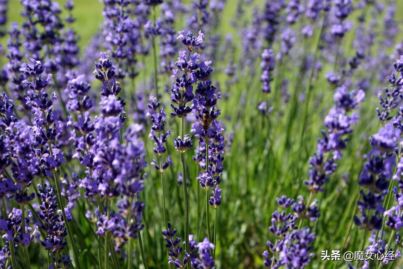 护肤品中的补水保湿成分,修护类护肤品适合哪些肤质