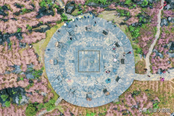 重庆这片花海你还没有来打开，那你就输了