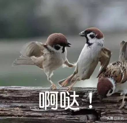 俄罗斯的化妆品便宜吗,俄罗斯的化妆品为啥全世界最便宜