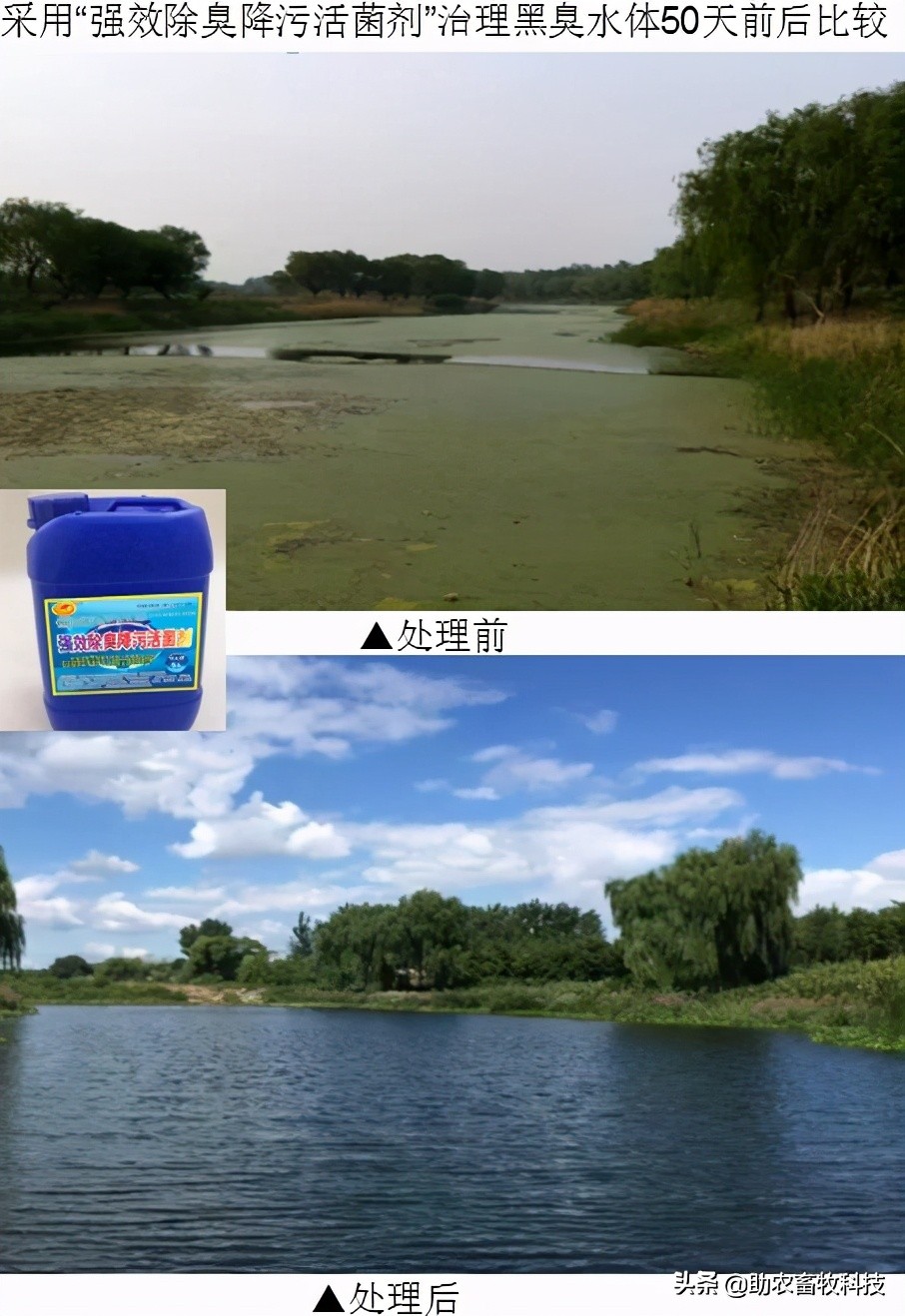 强力除臭除菌剂,脏水处理除臭菌剂厂家推荐