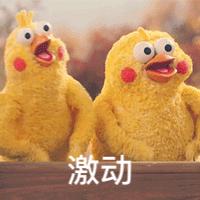 张韶涵张信哲最新综艺,张韶涵张信哲演唱会图文