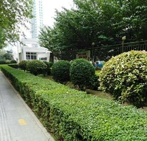 最美环卫工作者,最美保洁绿化人