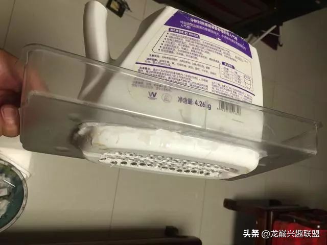 垃圾桶旁边的四方鱼缸，捡回去养了一缸金鱼，别说还挺不错