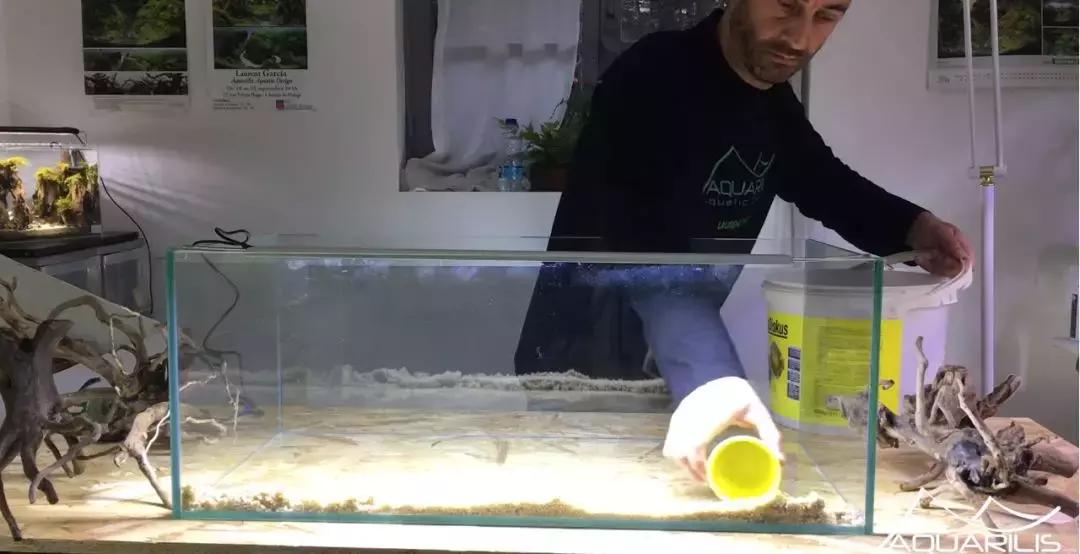 草缸造景教程：这个缸居然能装下一头“犀牛”？