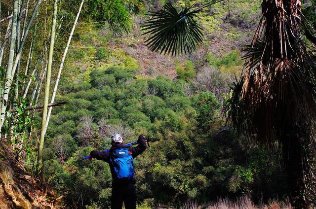 拓乐车顶行李框测评,车顶自行车架拓乐