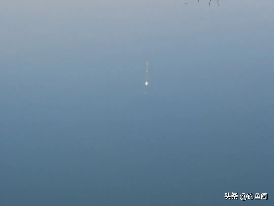 浮漂选漂,挑选浮漂的正确方法