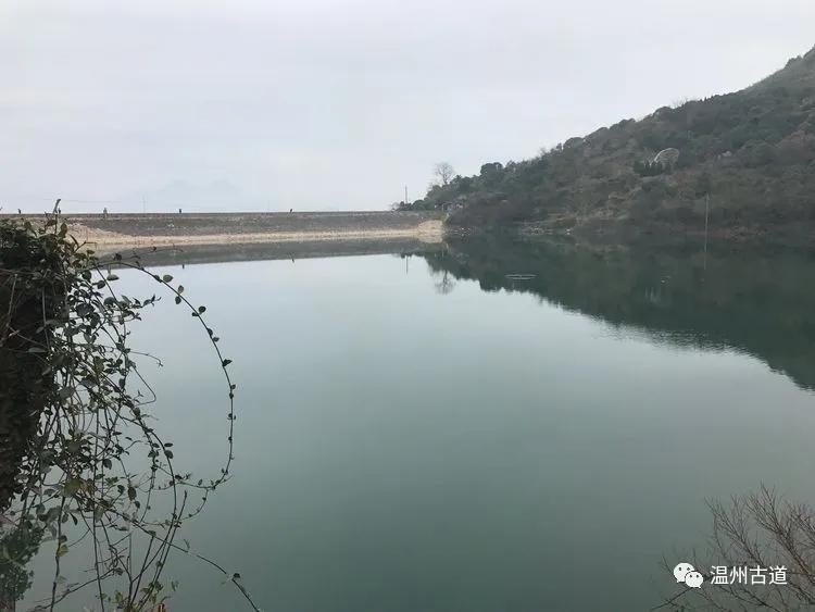 安静的尖叫,寂静的尖叫