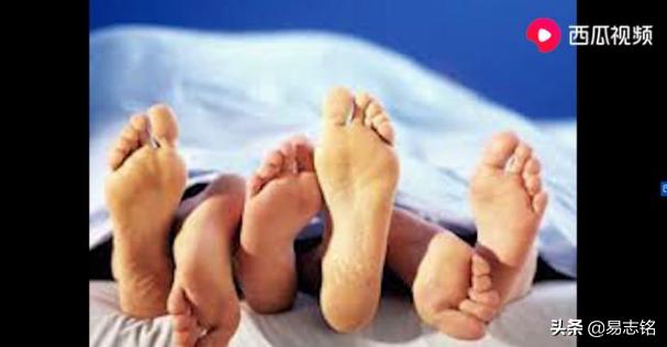 乘风破浪的姐姐有多吸金,乘风破浪的姐姐富豪排名