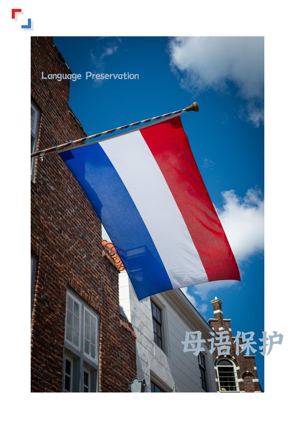 荷兰语到底有什么难,荷兰人说荷兰语吗怎么说